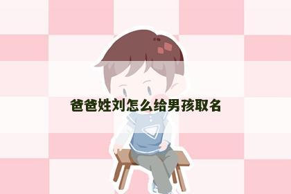 爸爸姓刘怎么给男孩取名